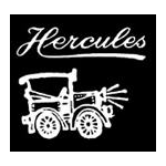 spiegel dodehoek opzet Hercules - Afbeelding 2