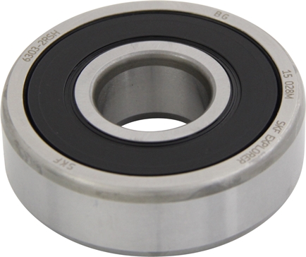 Lager 6304-2RS1